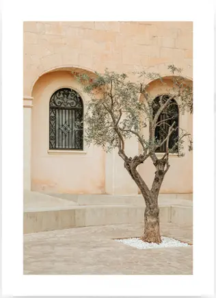 [DESE0002] Desenio - LONELY OLIVE TREE POSTER / RUSTIC OLIVE BRANCH POSTER /APRICOTS IN SUNLIGHT POSTER / LEMONS IN SUNLIGHT POSTER - Coworking